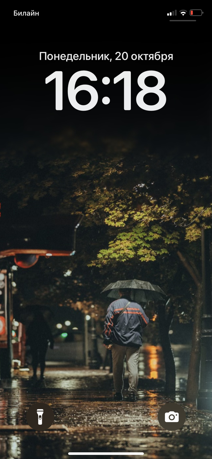 Потрясающее! Осень, фотография, стиль, краски. Каждый раз открываю телефон, посмотреть на эту красоту.