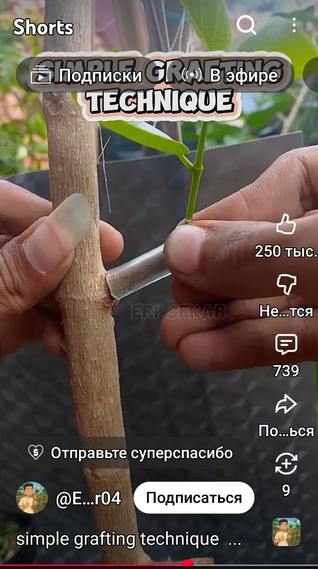 Когда увидел видео и возник вопрос