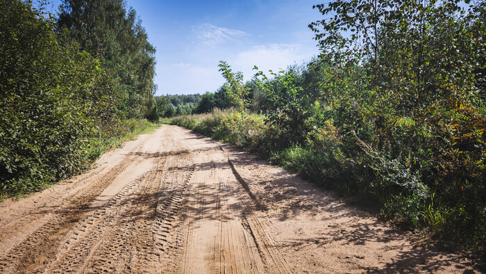 Шипастые следы тех самых квадробоберов. Катайтесь по ней сколько влезет, но зачем лезть на лесные тропинки, не предназначенные для двухколесного транспорта?