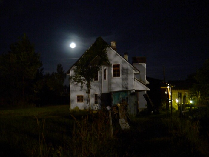Лунной ночью