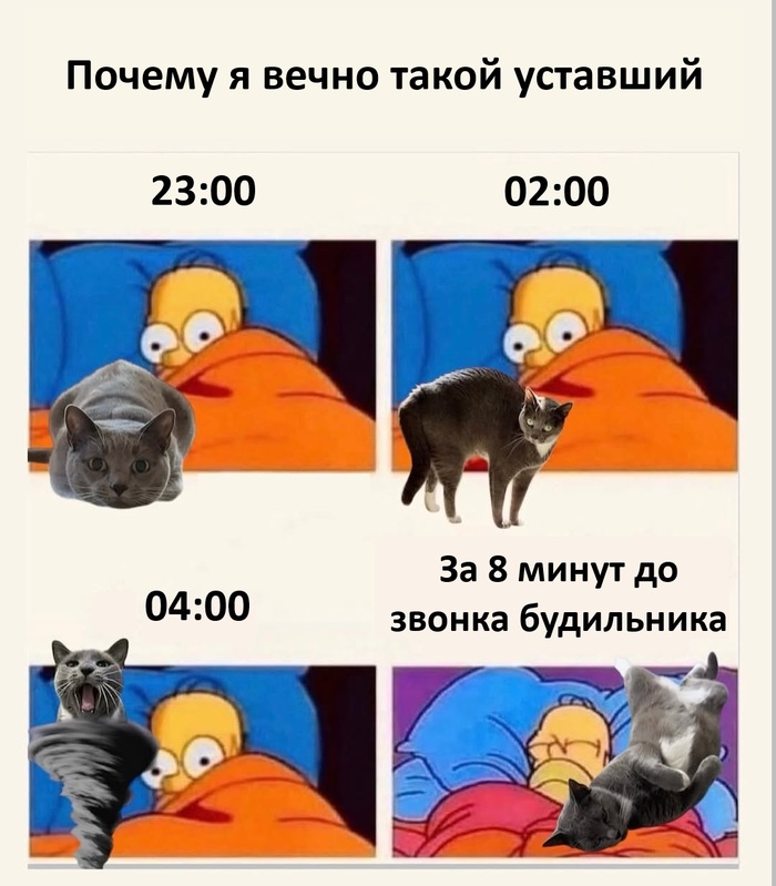 Что-то не выспался опять
