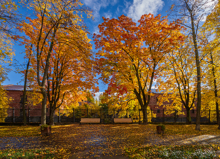 Улица Карла Маркса, набережная Обводного канала
