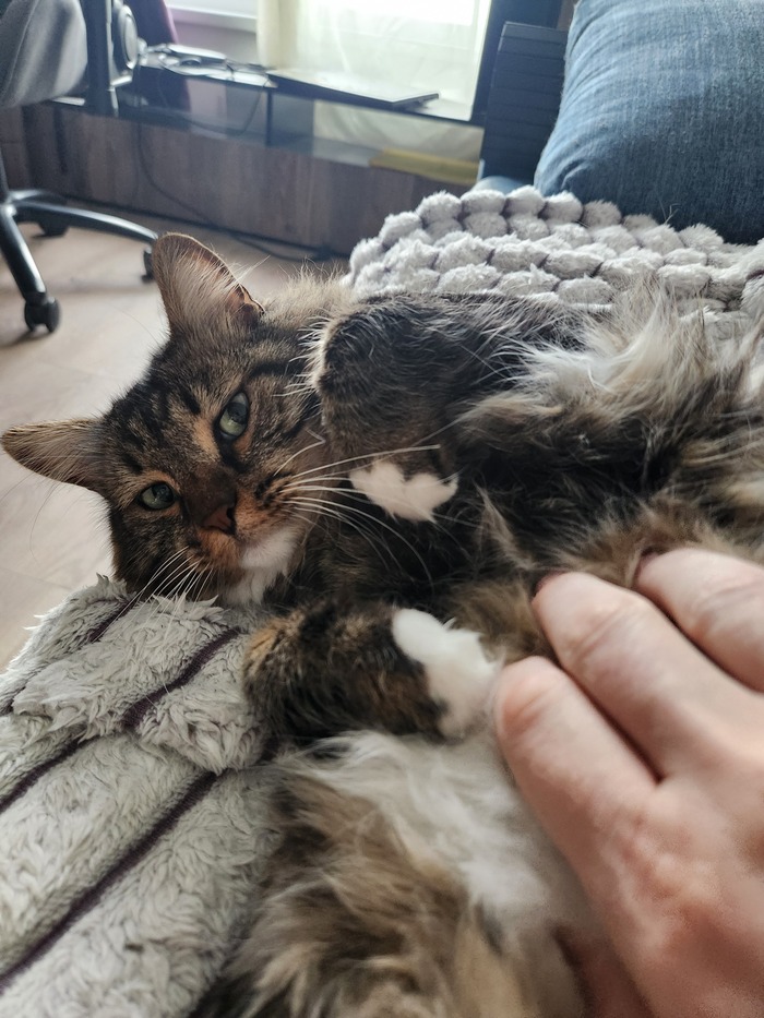 Ежедневный Рислинг #90