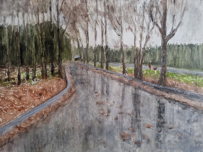 Мокрый парк...