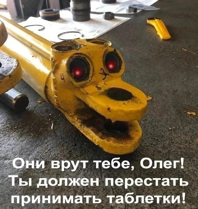 � ����� ������ ���������