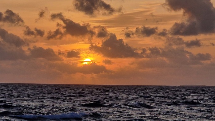 Поймать мечту...