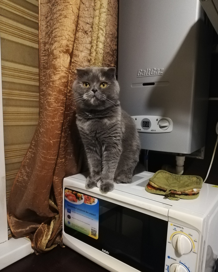 03.2010 - 21.06.2025 <3