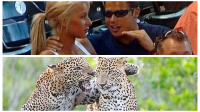 У животных все как у людей)