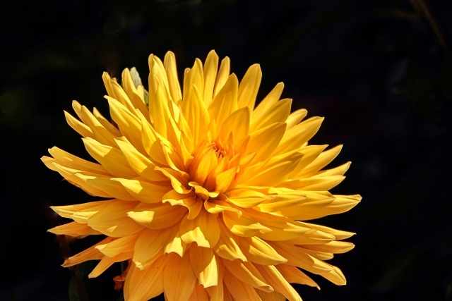 Был похож на солнышко.