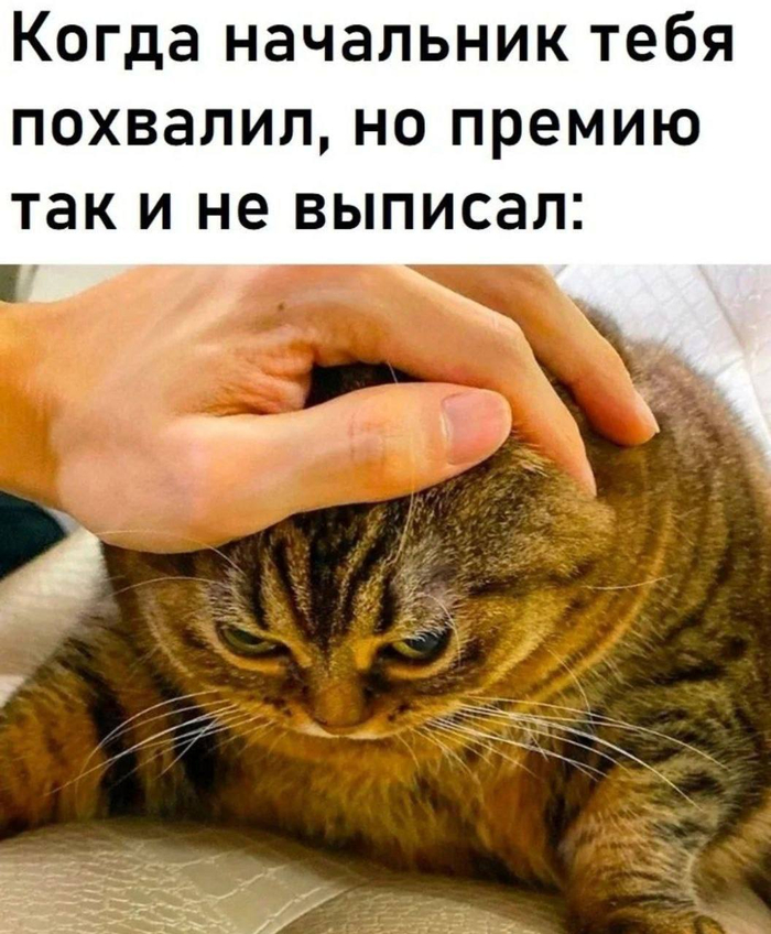 Ощущается так: