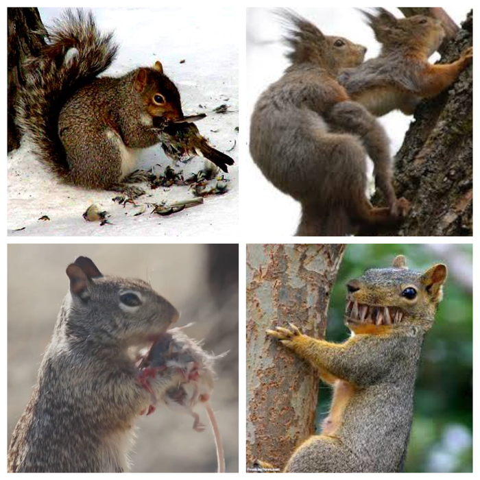 <a href="https://pikabu.ru/story/otvet_na_post_i_oreshki_vsyo_gryizyot_13323430?u=https%3A%2F%2Fpikabu.ru%2Fstory%2Fi_oreshki_vsyo_gryizyot_13320097&t=%D0%98%20%D0%BE%D1%80%D0%B5%D1%88%D0%BA%D0%B8%20%D0%B2%D1%81%D1%91%20%D0%B3%D1%80%D1%8B%D0%B7%D1%91%D1%82&h=99c3e430ad994f624980ea2f8434d680c62991c9" title="https://pikabu.ru/story/i_oreshki_vsyo_gryizyot_13320097" target="_blank">   </a>