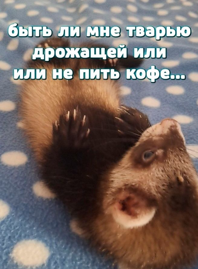 В раздумьях