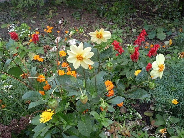 Ещё держатся (24.10.2025)