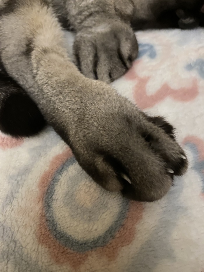 ��������� ���������� ����� � �������� : - ����� ����� ����