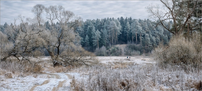 О ПРИХОДЕ НОЯБРЯ