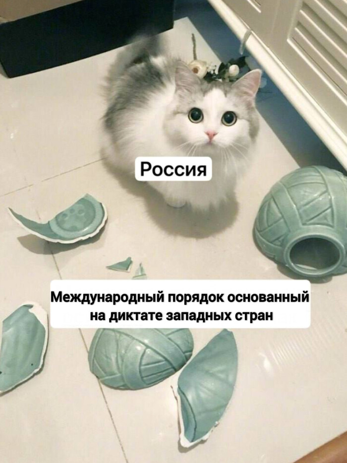 Ответ на пост «Ну мы»