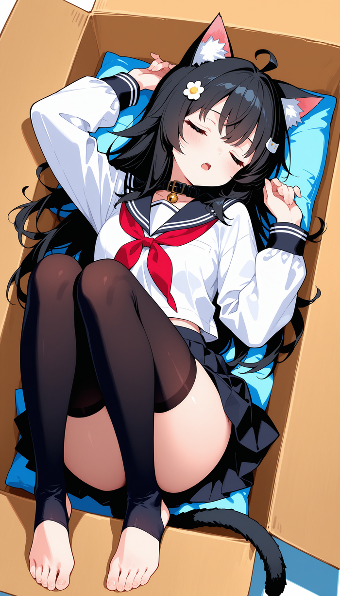 Кошечка отдыхает в своей коробке