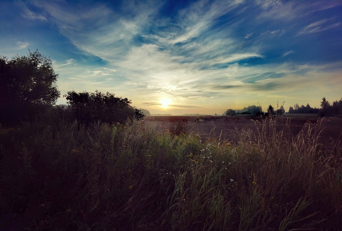 Ответ на пост «Просто хочу поделиться фотографией, которую у себя нашел а архиве»