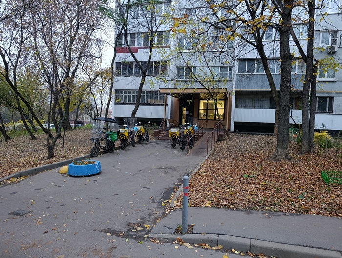 Наткнулся на гнездо