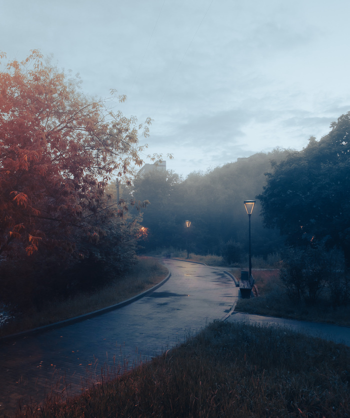   iPhone 10 Pro   Lightroom 