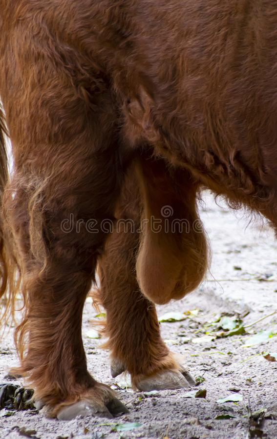  1713970984361962237548062157949000001