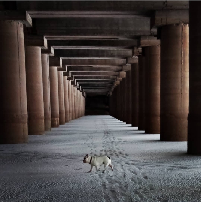 Ответ на пост «Просто хочу поделиться фотографией, которую у себя нашел а архиве»