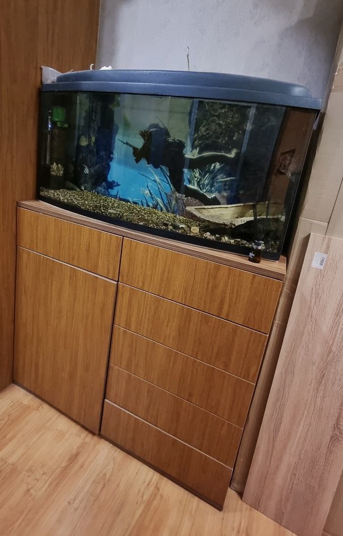 Нужен совет опытных пикабутян!