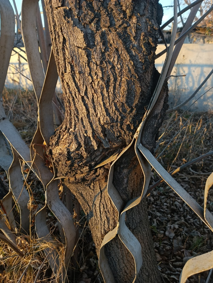 Сила времени