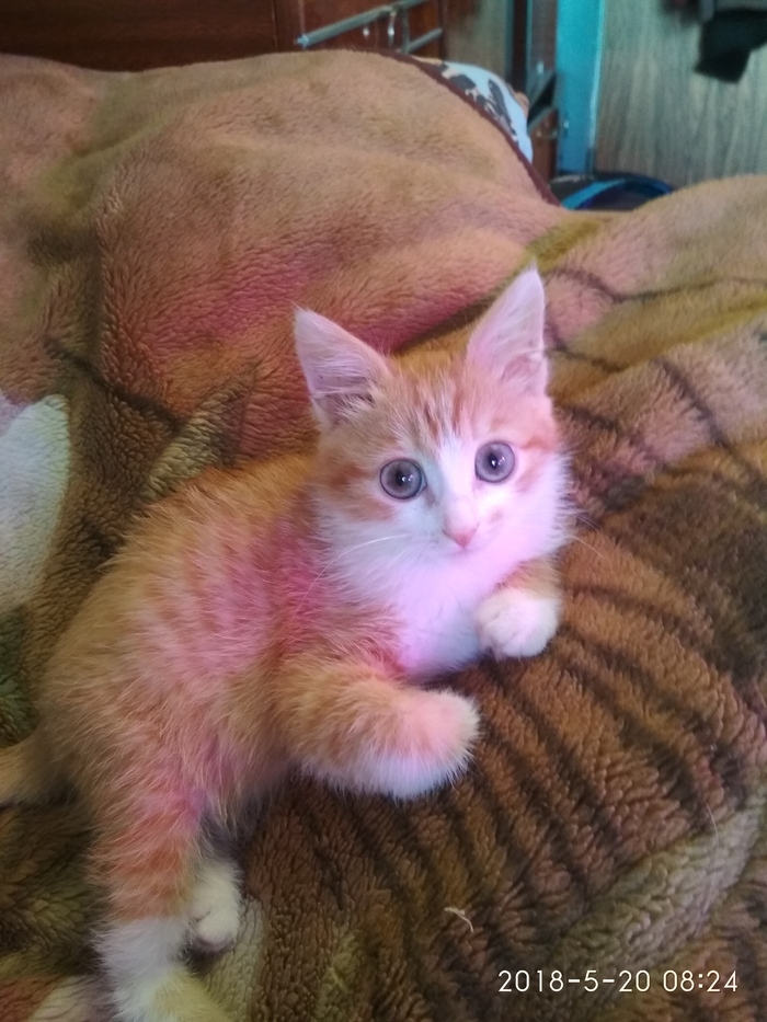 Ответ на пост «Просто хочу поделиться фотографией, которую у себя нашел а архиве»