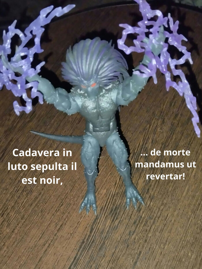 То же самое, только на Латыни. Мертвые языки, и все такое ...
