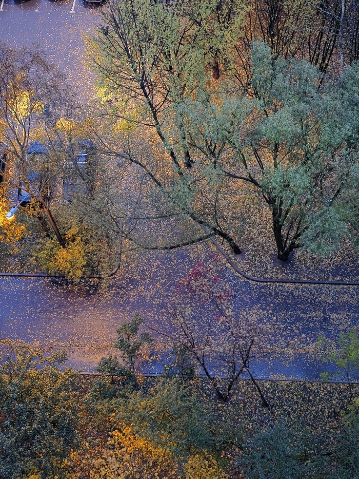 Осень. Вид с балкона