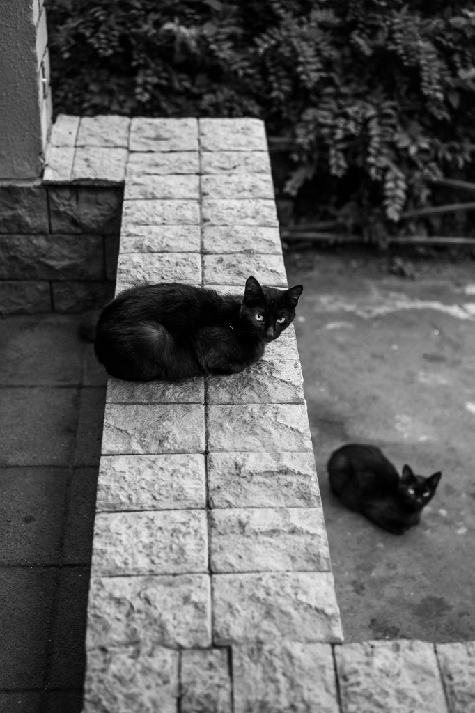 У подъезда. Фото: Роман Какоткин