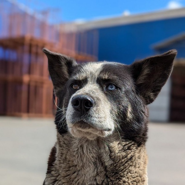 Ответ на пост «Просто хочу поделиться фотографией, которую у себя нашел а архиве»