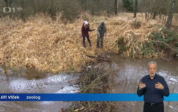 В общем, бобры vs бюрократы – счет 1:0!