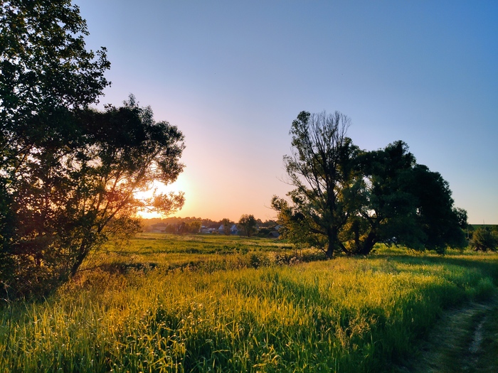 Ковидный 2020-й