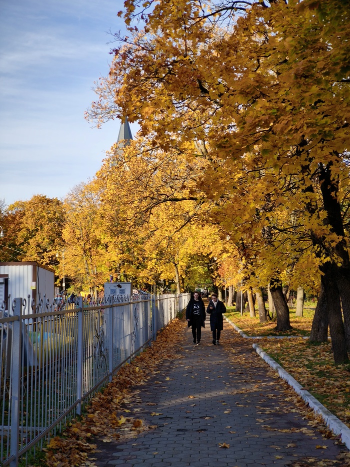 Центральный парк