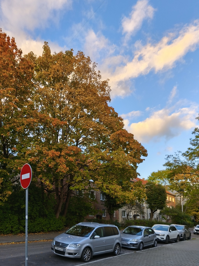 Зоологический переулок