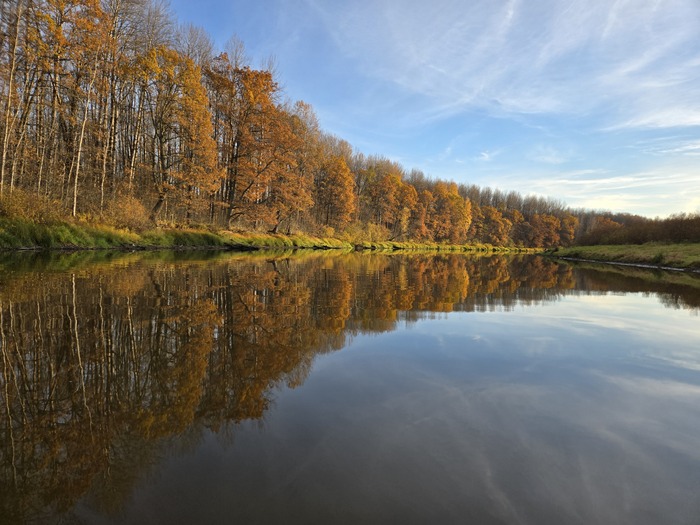 Ответ на пост «Золотая осень. Кульминация»