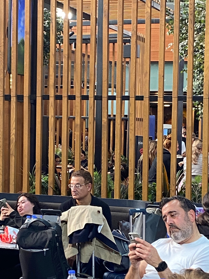 Случай в аэропорту