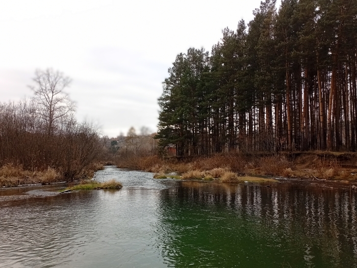 Осень в Томске