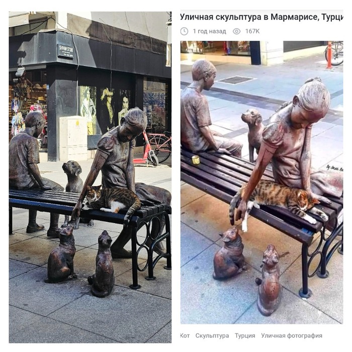Котик в Мармарисе