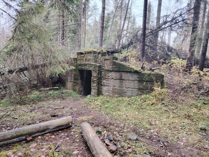 Винный погреб сохранился лучше всех😃