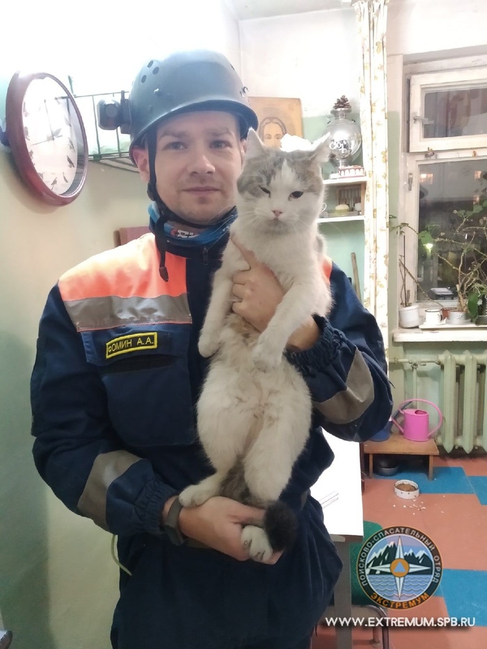 Спасённый котик на руках у своего спасителя