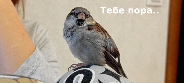 Иди, говорит, на свою работу! И зерна мне принеси!