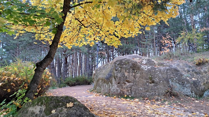 Хороший денёк!