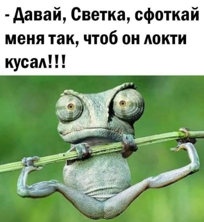 Женская дружба, мля...