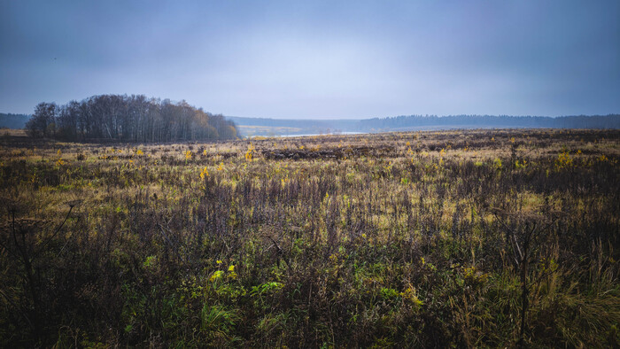 Зима уже где-то за теми лесами.