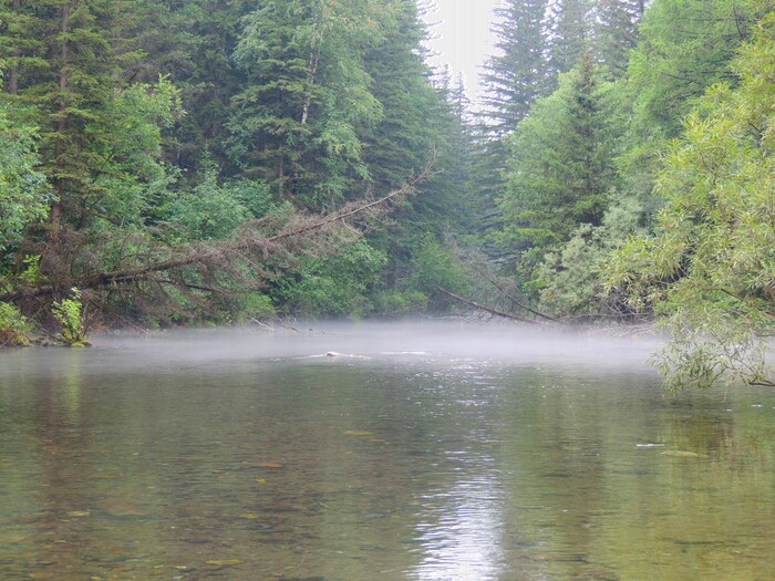 Ответ MayBeeBzz в «Просто хочу поделиться фотографией, которую у себя нашел а архиве»