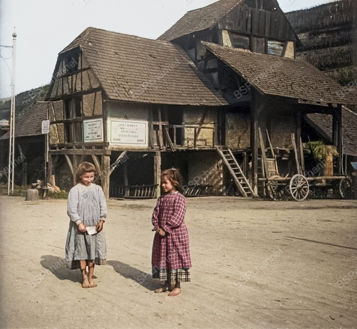 Фотограф: А.В. Живаго