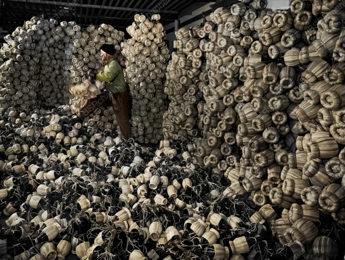 Фотограф: Альфред Эйзенштадт